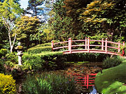 Japanese Gardens Kildare