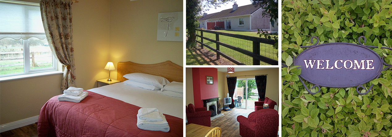 Self Catering In Kildare Naas Self Catering Accommodation